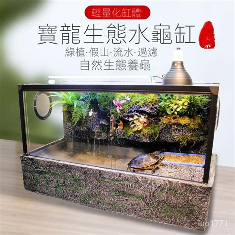 養烏龜方位|【烏龜缸diy】最全烏龜缸布置、造景、換水總整理，。